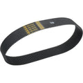 Belt Drives Ltd Replacement Belt - 3" - 8mm - 144 | BDL-37144-3