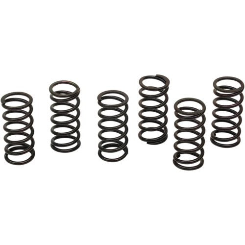 Barnett Clutch Spring Kit | 501-58-06121
