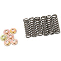 Barnett Clutch Spring Set | 505-42-06031