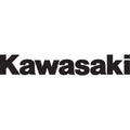 Factory Effex Logo Decal/Sticker - Kawasaki - Sold Each | 09-90101
