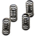 Ebc Clutch Springs | CSK233