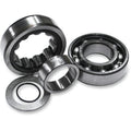 Feuling Oil Pump Corp Cam Outer Bearing | 2078