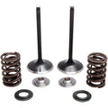 Kibblewhite Intake Spring Kit | 30-33200