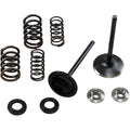 Kibblewhite Intake Spring Kit | 30-33250