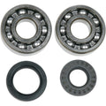 Moose Racing Crankcase Bearing and Seal Kit | 24-1025