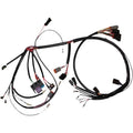 Namz Wiring Harness - '99-'03 XL | NHD-70153-99