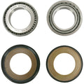 Pivot Works Steering Stem Bearing Kit | PWSSK-H05-420