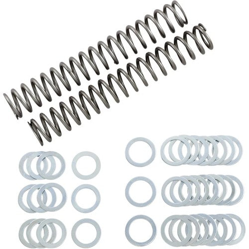 Race Tech Fork Springs - 1.10 kg/mm | Frsp S3825110