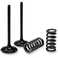 Prox Valve and Spring Kit | 28.SIS4406-2