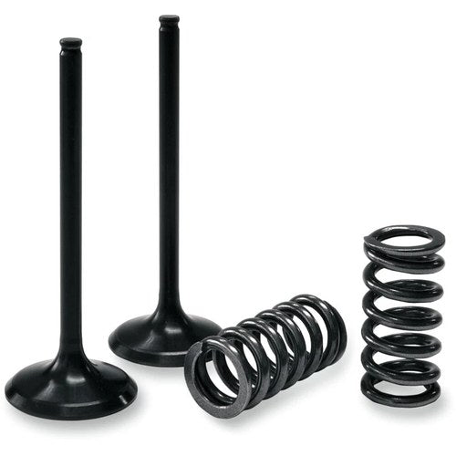 Prox Valve and Spring Kit | 28.SES2424-1