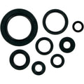 Moose Racing Engine Oil Seal Kit (M822110)