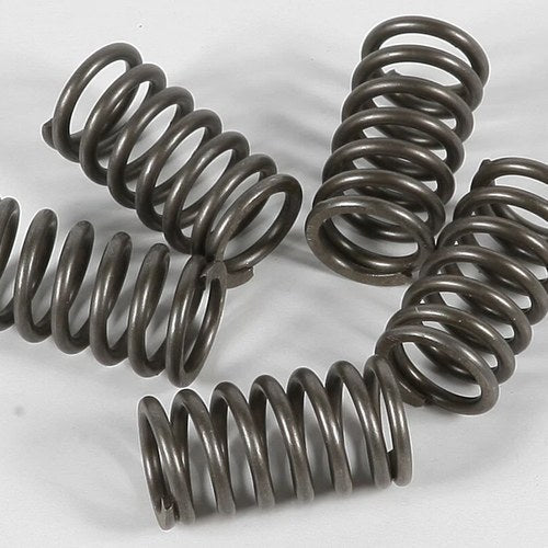 Ebc Csk Clutch Spring Kit | CSK118