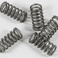 Ebc Csk Clutch Spring Kit | CSK77