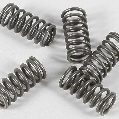 Ebc Csk Clutch Spring Kit | CSK77