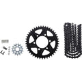 Vortex Wss Warranty Chain and Sprocket Kit | CK4212