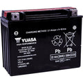 Yuasa Fresh Pack High Performance Maintenance-Free Agm Battery (YTX24HL-BS)