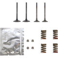 Wiseco Valve Kit | SVKB4341