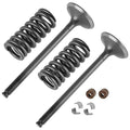 Exhaust Valve Kit For Honda CRF250X 2004 2005 2006 2007-2009 2012 2015-2017