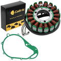 Stator & Gasket for Suzuki GS750B GS-750B GS750C GS-750C 1977 1978 1979