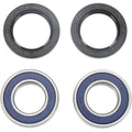 All Balls Wheel Bearing Kit - Double Seal - Front/Rear | 25-1273-A