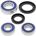 All Balls Wheel Bearing Kit - Double Seal - Rear | 25-1449