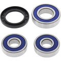 All Balls Wheel Bearing Kit - Double Seal - Rear - Kawasaki | 25-1287