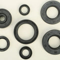 Vertex Oil Seal Set | 822113