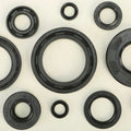 Vertex Oil Seal Set | 822172