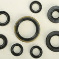 Vertex Oil Seal Set | 822175