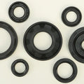 Vertex Oil Seal Set | 822173