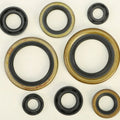 Vertex Oil Seal Set | 822274
