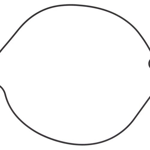 Vertex Clutch Cover Gasket | 817253