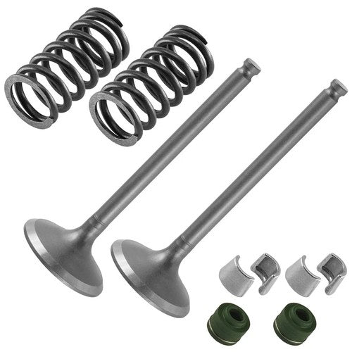 2x Exhaust Valve Kit for Yamaha 5TA-12121-00-00 5TJ-12114-00-00 33M-12119-00-00