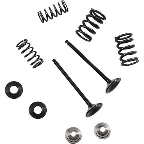 Moose Racing Valve and Spring Kit | M80-82360