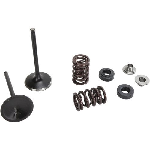 Moose Racing Valve and Spring Kit | M80-81110