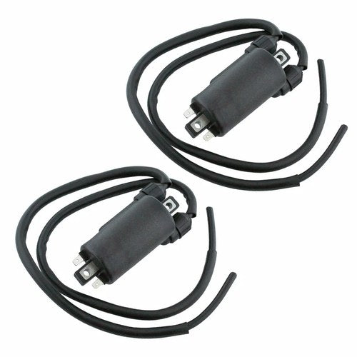 2 Sets Of Ignition Coil for Honda GL1200 GL1200A GL1200I GL1200L Goldwing 84-87