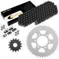 Black O-Ring Drive Chain & Sprockets Kit for Kawasaki KLE650 Versys 650 2007-16