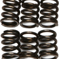 Ebc Csk Clutch Spring Set (CSK72)