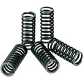 Pro Circuit Clutch Spring Set | CSK09085