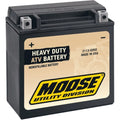 Moose Utility Division Factory-Activated Agm Battery (Cross Ref YTX14) 2113-0050