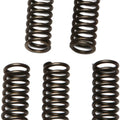 Ebc Csk Clutch Spring Set (CSK97)