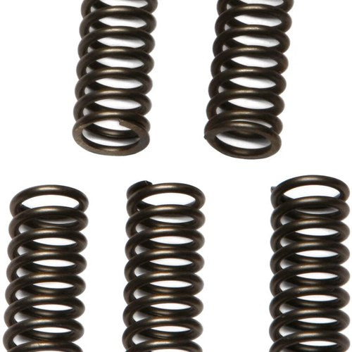 Ebc Csk Clutch Spring Set (CSK97)