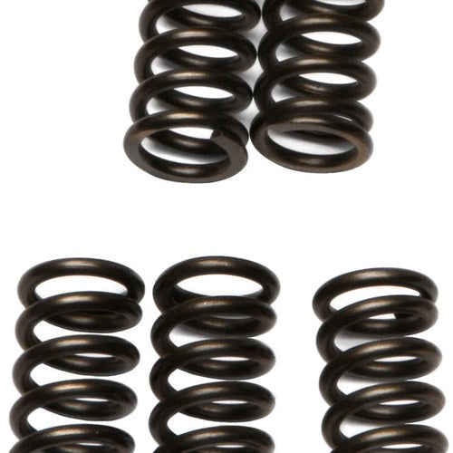 Ebc Csk Clutch Spring Set (CSK78)