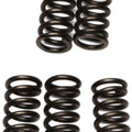 Ebc Csk Clutch Spring Set (CSK78)