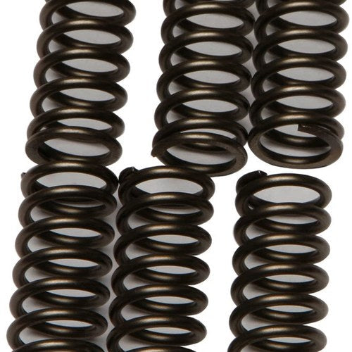 Ebc Csk Clutch Spring Set (CSK196)