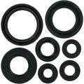 Moose Racing Engine Oil Seal Kit (0934-0172)