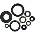 Moose Racing Engine Oil Seal Kit (0934-0162)