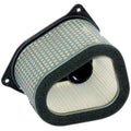Hiflofiltro Replacement Air Filter | HFA3906