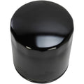 Hiflofiltro Premium Oil Filter (Black) HF174B