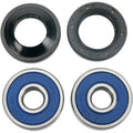 Moose Racing Wheel Bearing Kit - Double Lip | 25-1072